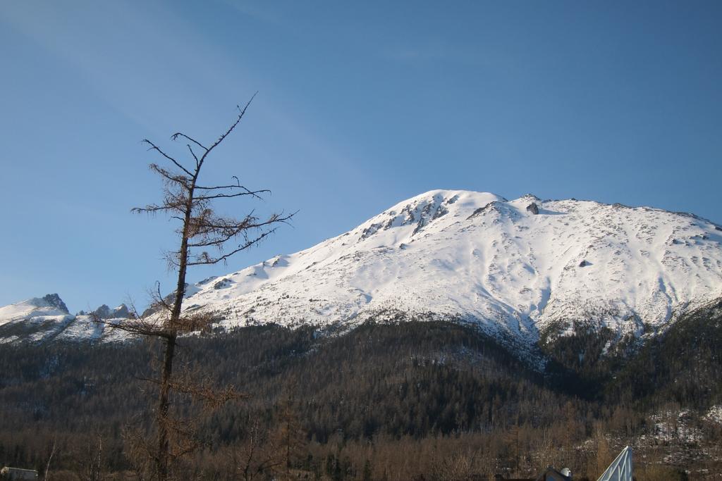 Apartman Novy Smokovec 75 Daire Vysoké Tatry Oda fotoğraf